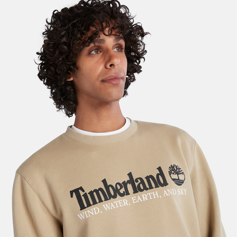 Wind, Water, Earth and Sky Sweatshirt For Men